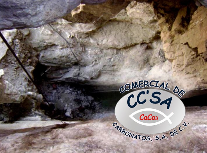 imagen-con-logo-2024_01